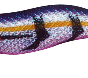 KABO SQUID LK 2,5 226