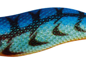 KABO SQUID LK 3,0 231
