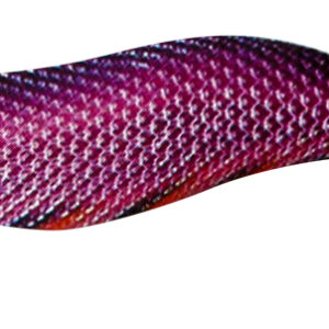 KABO SQUID LK 2,5 202