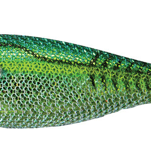 JATSUI HAMA SUTTE MIS. 2.0 P/S COL. #HA-01 HAMA MEKKI GREEN