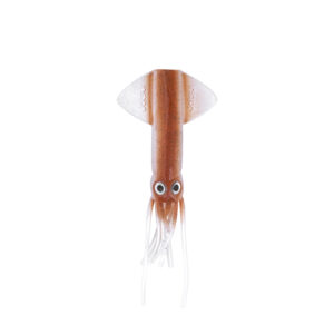 JATSUI CRAZY SQUID SPARE BODY  SPLIT COLOR  SB