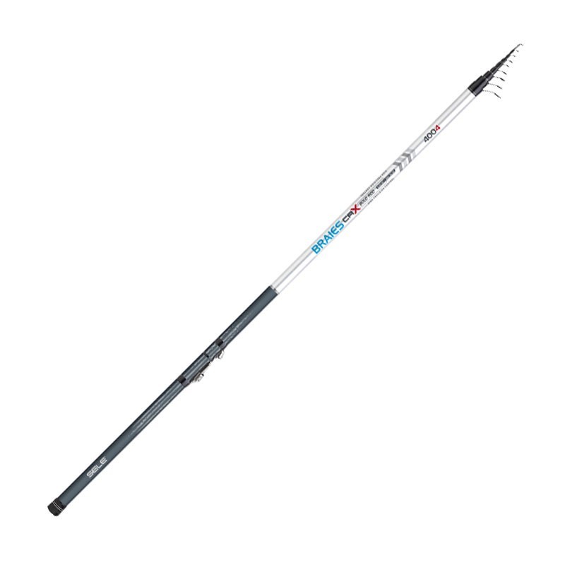 SELE BRAIES BOLO